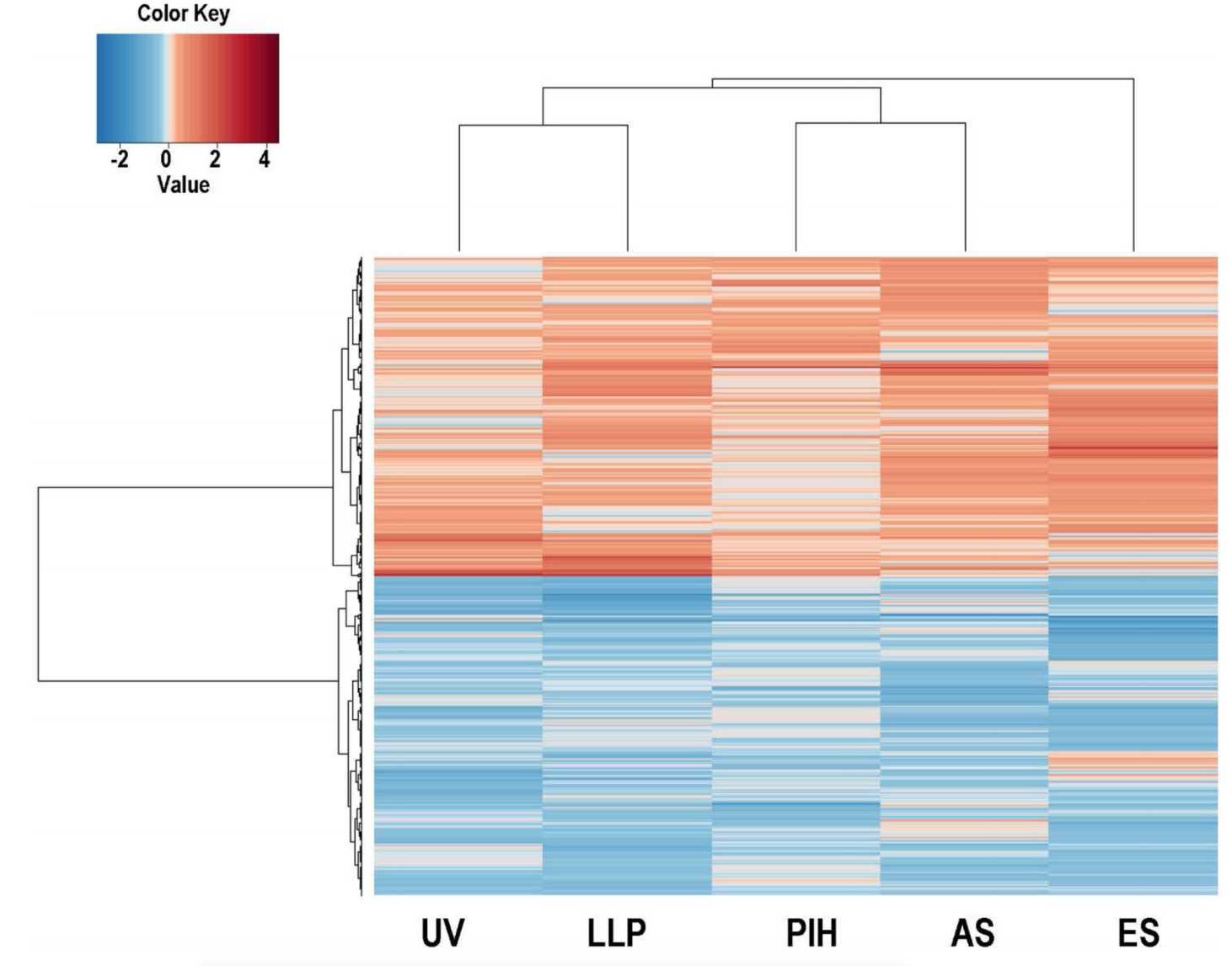 Fig.3 Genetic information of skin pigmentation. (Yin, et al., 2015)